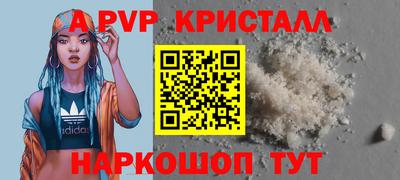 индика Гай