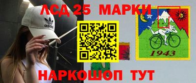 индика Гай