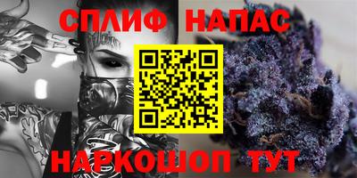 индика Гай