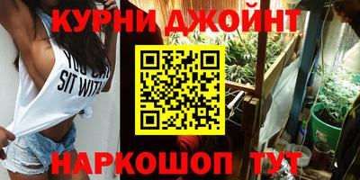 индика Гай