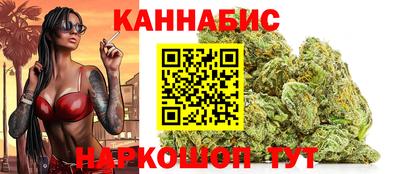 индика Гай