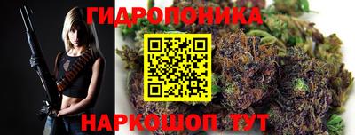 индика Гай