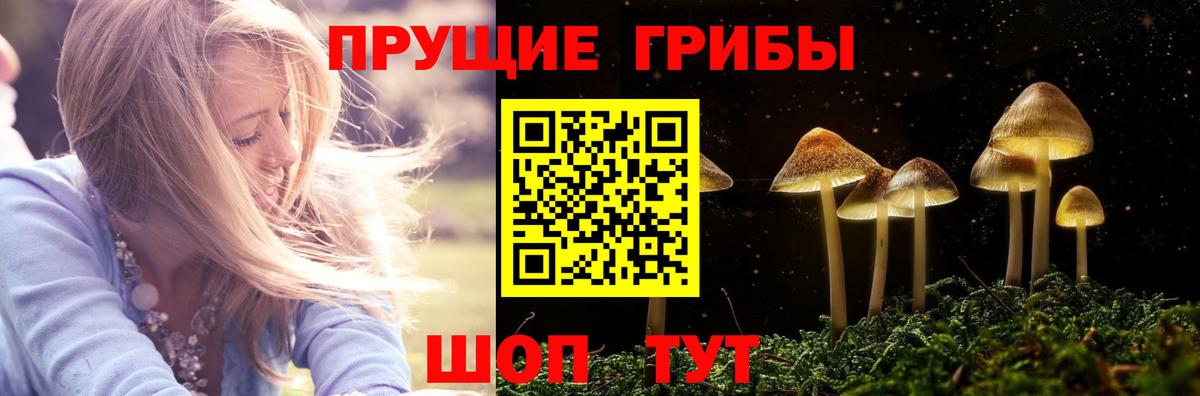 Псилоцибиновые грибы ЛСД  купить наркоту  Заринск  Вход с VPN 